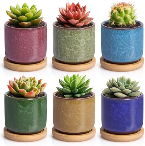 T4U 2.5 Inch Small Ceramic Succulent Planter Pot with Bamboo Saucer Set of 6, Ice Crack Glaze Porcelain Handicraft Plant Container Gift for Mom Sister Aunt Best for Home Office Desk Decoration by T4U