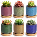 T4U 2.5 Inch Small Ceramic Succulent Planter Pot with Bamboo Saucer Set of 6, Ice Crack Glaze Porcelain Handicraft Plant Container Gift for Mom Sister Aunt Best for Home Office Desk Decoration by T4U