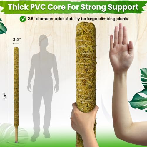 DUSPRO 59" Natural Large Moss Pole for Big & Mature Plants, (1pc., 59'') - Image 5