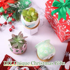 Remerry 6 Pcs 3.5 Inch Mini DIY Ceramic Succulent Pots with Bamboo Tray - Image 6