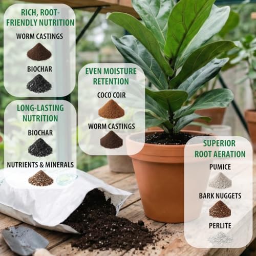 Organic Fiddle Leaf Fig Soil, Well-Draining Potting Mix, Large 7.5L Bag - Image 3