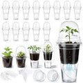 30 Pack 3.5" Self Watering Propagation Pots Clear, Plain Cup by Ferrochef