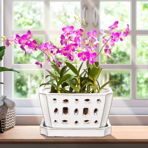 Teenyyou 7 Inch Ceramic Orchid Pot with Holes and Saucer Repotting,White by Teenyyou