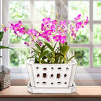 Teenyyou 7 Inch Ceramic Orchid Pot with Holes and Saucer Repotting,White by Teenyyou