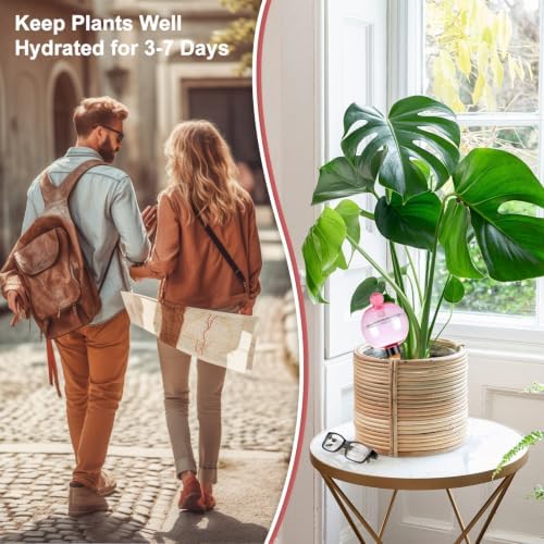 4 Pack Self Watering Globes 17oz Large Plant Watering Globes Top Fill, Self Water Planter Insert Indoor/Outdoor Plastic Water Bulbs Slow Release Terracotta for Plants, Pink - Image 4