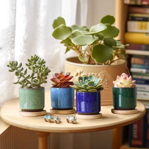 T4U 2.5 Inch Small Ceramic Succulent Planter Pot with Bamboo Saucer Set of 6, Ice Crack Glaze Porcelain Handicraft Plant Container Gift for Mom Sister Aunt Best for Home Office Desk Decoration - Image 5