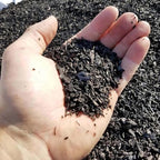 Char Bliss (4 Cubic Feet) - Organic Biochar Bulk Soil Amendment for Plants - Image 7