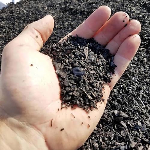 Char Bliss (4 Cubic Feet) - Organic Biochar Bulk Soil Amendment for Plants - Image 7