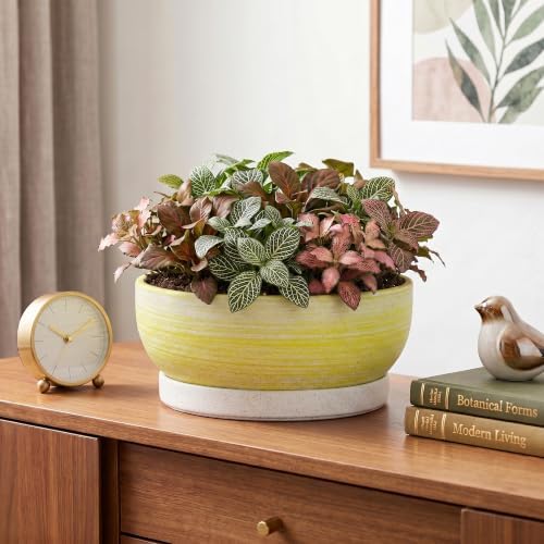 Pots for Succulents, 8 Inch Ceramic Bonsai Tree Pot, Brushed Yellow - Image 6