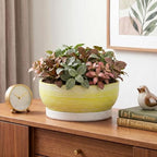 Pots for Succulents, 8 Inch Ceramic Bonsai Tree Pot, Brushed Yellow - Image 6