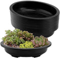 JAPCHET 12 PCS Oval Bonsai Training Pots, Plastic Pots with Drainage Holes Oval Nursery Pot for Home, Garden and Hotel, 15 x 11.4 x 3.5 in, Black by JAPCHET