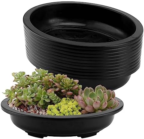 JAPCHET 12 PCS Oval Bonsai Training Pots, Plastic Pots with Drainage Holes Oval Nursery Pot for Home, Garden and Hotel, 15 x 11.4 x 3.5 in, Black by JAPCHET