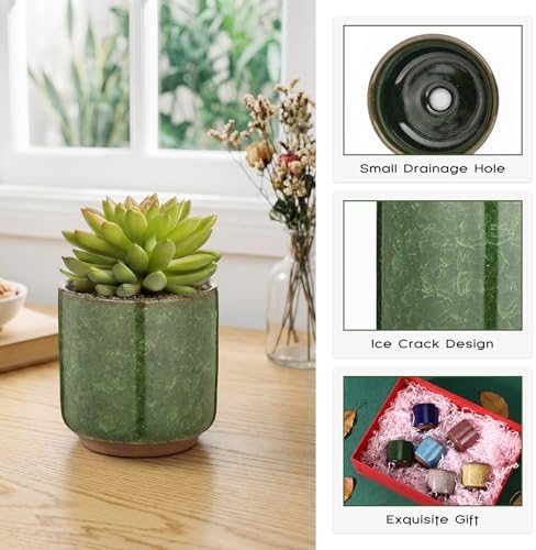 12 Pack Small Ceramic Succulent Pots with Drainage Hole - Image 3