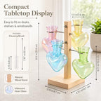 Nacome Plant Terrarium Propagation Stations: Colored Vase with Wooden Stand - Image 4