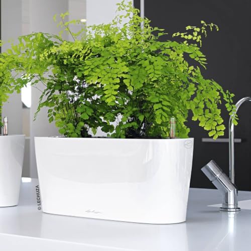 Lechuza Delta 20 Cream White High Gloss, Self-Watering Planter Indoor, H7.1 L15.7 W5.9 in - Image 2
