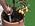 Blumat Accurate Soil Moisture Meter Water Indicator - with Cap - for Indoor - Image 7