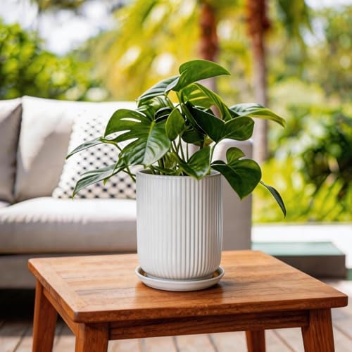 Deep Dream 8 Inch Ceramic Pots for Plants, Heavy Plant Pot for Indoor Outdoor Plants, Large Plant Pot with Drainage Hole and Saucer, Modern Tall Flower Pot, Gifts for Plant Lovers, White - Image 2