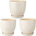 Oairse 4 inches Ceramic Planter Pots 3 Set of Small Round Flower Pots with Drainage Hole and Ceramic Tray for Succulents Cactus Indoor Outdoor Garden Home Windowsill by Oairse