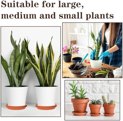 Qinyoung 10 Pcs Terracotta Pot Plant Saucer Set, Terracotta Planter 4.53inch 6.5inch 8.5inch for Indoors Outdoor, Durable Flower Drainage Tray for Plant Pots Base - Image 5