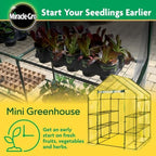Miracle-Gro Walk-in Greenhouse, Removable Shelves, Clear, 4'8" Square - Image 5