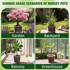 10 Inch Clear Nursery Pots with Drainage Holes and Saucers, 5 Pack Large Clear Pots for Plants Variety Pack, Seedling Pots for Succulents, Herbs, Flowers, Vegetables - Image 6