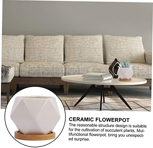 TOYANDONA 3 Sets Ceramic Succulent Flower Pots Drainage Tray Unique Planters for Indoor and Outdoor Decoration - Image 5