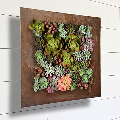 Vandue Modern Home Living Wall Galvanized Steel/Zinc Succulent Planter (Rust Zinc, 16 Pocket) - Image 7