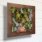 Vandue Modern Home Living Wall Galvanized Steel/Zinc Succulent Planter (Rust Zinc, 16 Pocket) - Image 7