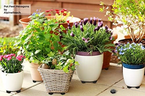 AlpineReach Extra Heavy Duty Pot Feet Risers 20 Pack Hexagons & Adhesive Pads - Protect Healthy Plants - Strong Invisible Supports Small Large Flower Planters Stability - Outdoor Lifter Toes Elevator - Image 3