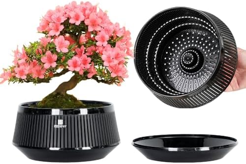 Bonsai Pots with Drainage Tray, Plastic Imitate Ceramic Bonsai Tree Pot with Excellent Airflow, Large Succulent Pots for Indoor Plants, Juniper, Ficus, Chinese Elm, Cactus, 8 Inch, Set of 2 by Meshpot