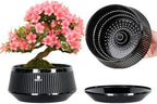 Bonsai Pots with Drainage Tray, Plastic Imitate Ceramic Bonsai Tree Pot with Excellent Airflow, Large Succulent Pots for Indoor Plants, Juniper, Ficus, Chinese Elm, Cactus, 8 Inch, Set of 2 by Meshpot