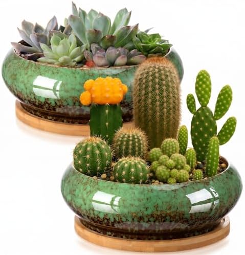 2 Pcs 7.3'' Shallow Succulent Planters Pots, Green by Acellegic