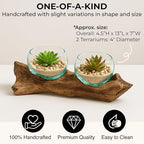 Cape Craftsmen Set of 2 Terrariums | Hand-Blown Blue Tinted Bubble Glass On Natural Teak Driftwood Terrarium | Home Décor Indoor Planter with Stand | Pot for Succulent and Plants - Image 3