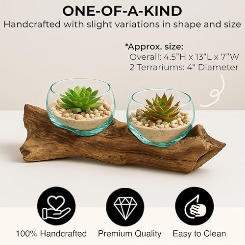 Cape Craftsmen Set of 2 Terrariums | Hand-Blown Blue Tinted Bubble Glass On Natural Teak Driftwood Terrarium | Home Décor Indoor Planter with Stand | Pot for Succulent and Plants - Image 3
