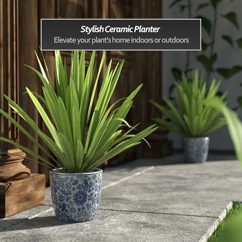 Red Lantern 6" Planter - Blue and White Floral - Image 2