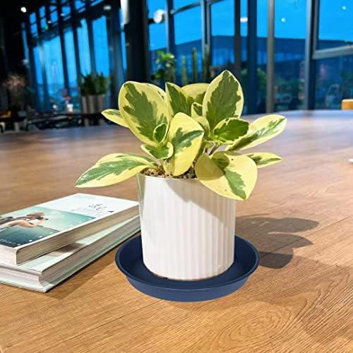 4 Pack of 16 17 inch Plant Saucer (15 inch Base), 2.3" Depth, Heavy Duty Deep Plant Trays for Planter Pots, Bird Bath Bowls, Plastic Plant Saucers for Indoors (17", Blue) - Image 7