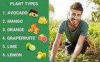 GARDENWISE Professional Citrus Fertilizer & Organic Marina Mist Foliar Kelp Spray Bundle - Perfect Balanced NPK and Micro Nutrients for Indoor Outdoor Plants (3 Quart - 16oz) - Image 6
