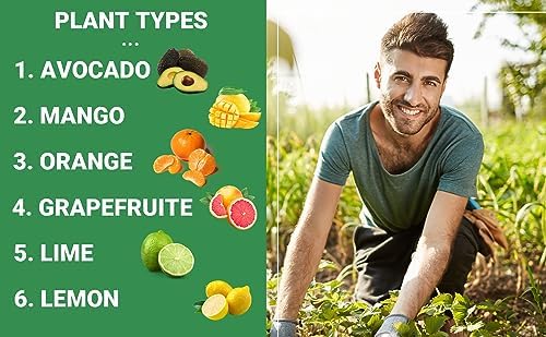 GARDENWISE Professional Citrus Fertilizer + Vital Micronutrients & 8-4-8 Acidic Fertilizer Bundle - Ideal for All Citrus Orange, Avocado & Lemon Tree, Acidic Fertilizer for Azaleas, Camellias (2 Qr) - Image 6