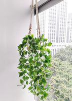 Comtelek 2 Packs Fake Hanging Plant with Pots for Home Decor Artificial Hanging Basket Plants Macrame Plant Hanger with Faux Vines Greenery for Bedroom Bathroom Room Wall Boho Decor Indoor Outdoor - Image 2