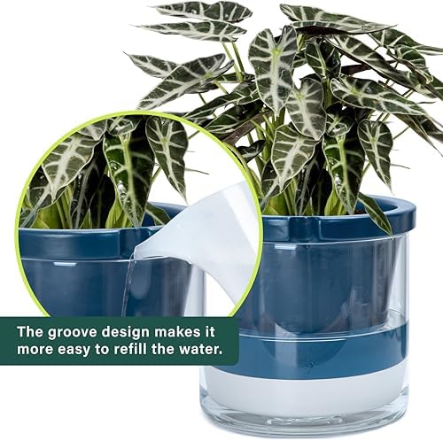 D'vine Dev Self-Watering Blue Terracotta Planter Pot, 10 in, 37-X-D-4 - Image 6