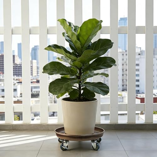 2 Pack 14.6 Inch Metal Plant Caddy, Copper - Image 7