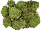 SuperMoss (21537) Mood Moss – Natural Moss for Home Decor, Terrariums, Floral Arrangements, and Craft Projects, 1,564 cu in, Dried - Image 3