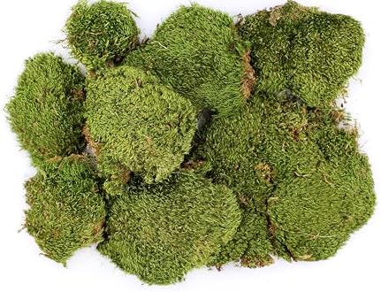 SuperMoss (21537) Mood Moss – Natural Moss for Home Decor, Terrariums, Floral Arrangements, and Craft Projects, 1,564 cu in, Dried - Image 3