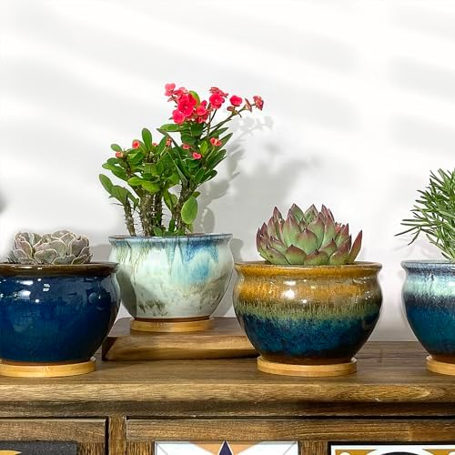 5.5 Inch Succulent Pot with Drainage and Free Saucer Glazed Terracotta Round Ceramic Succulent Planter Cactus Bonsai Plant Pot (Set of 4) - Image 5