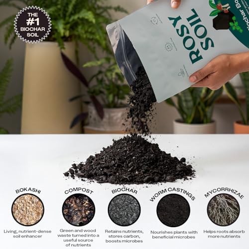 Rosy Soil Biochar Booster, Biochar Soil Amendment, 8 Quarts - Image 4