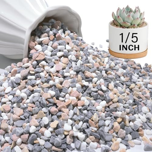 NUPICK 12 lbs Pebbles for Indoor Plants, 1/5 Inch Pea Gravel for Fish Tank by CreateAmazingChoice