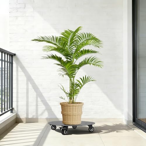 Round Plant Caddy with Wheels, Heavy Duty 500lbs Steel Rolling Cart - Image 6