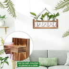 Plant Propagation Stations Heart Plant Terrarium Kit - Image 3