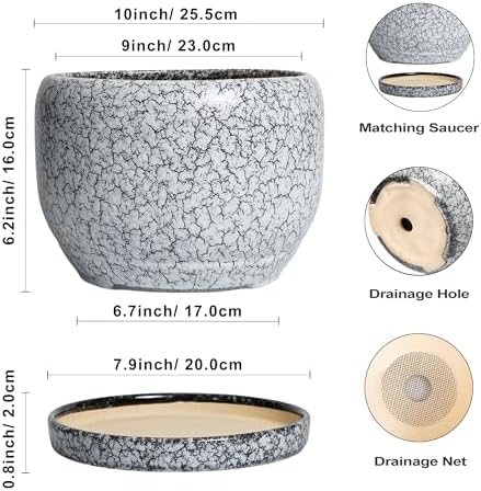 SQOWL Ceramic Planters - 10 Inch Ceramic Flower Pot with Drainage Hole and Saucer, Decorative Plant Pot Indoor, Round Large Planter Outdoor, Bathroom Decor, Gifts for Plant Lovers, Black and White - Image 3