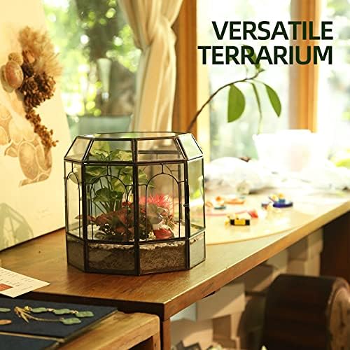 REDHUGO Large Glass Terrarium, Handmade Indoor Planter Display Box, Black - Image 5